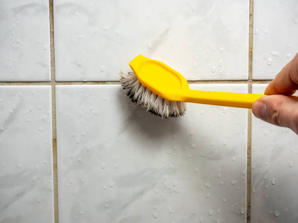 Mold Testing and Removal in Fruit Hill, OH